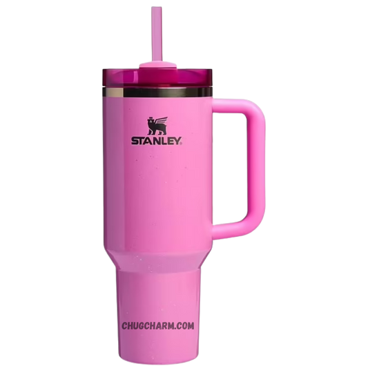 Stanley X Wicked Elphaba Collection Pink 40oz Tumbler – stylish insulated tumbler in a bold pink color with a magical theme.
